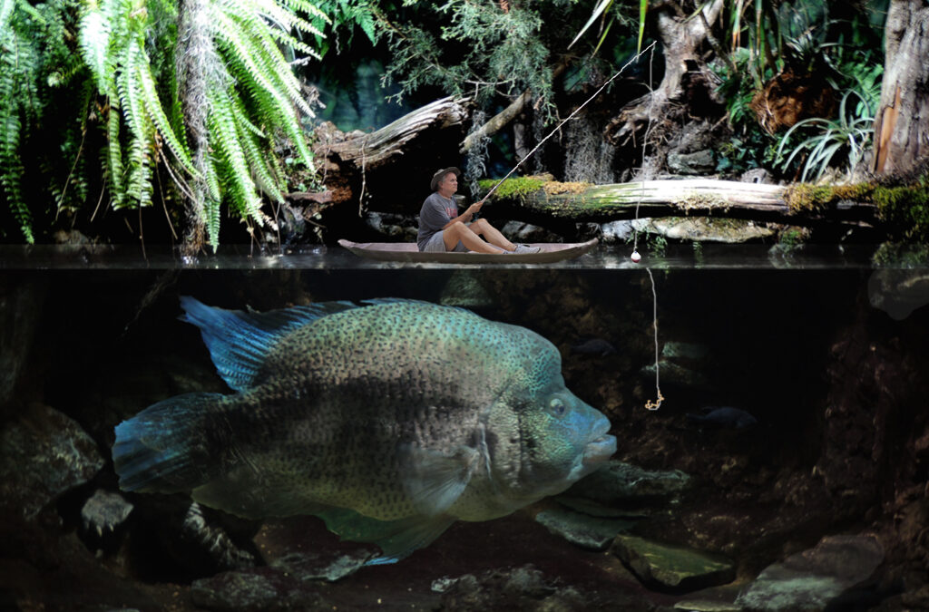 Making of a Scavenger – Stephen Maddox